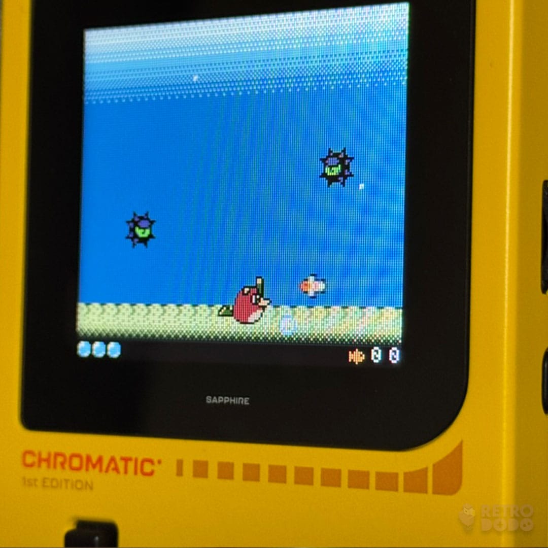 A Quakzal